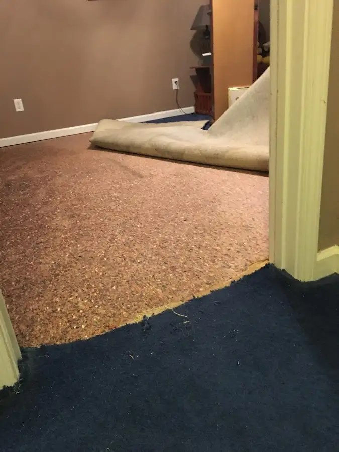 Carpet pad removal revealing water damage during Water Mitigation Services in Silverdale