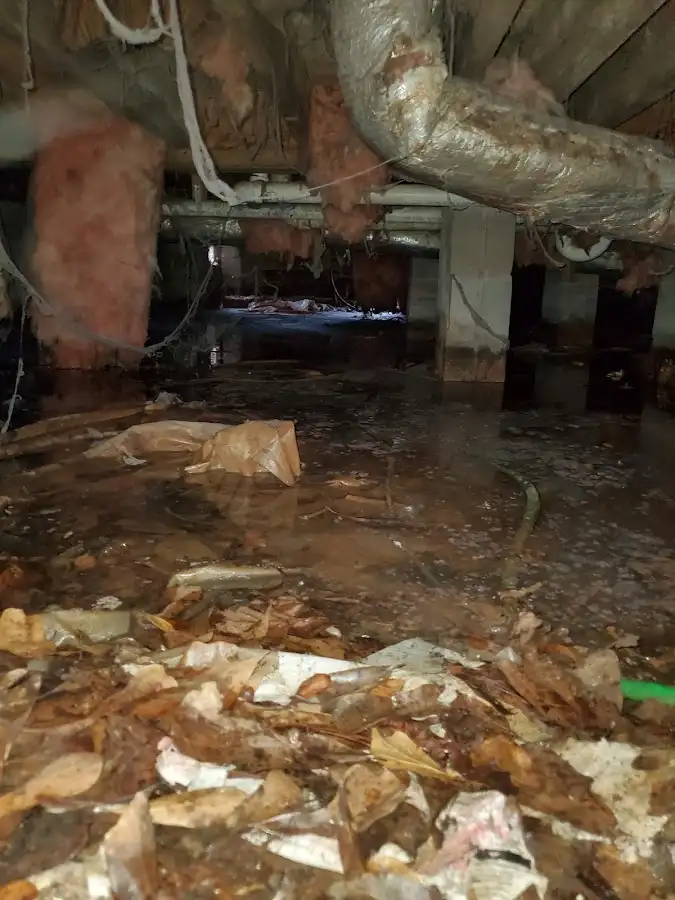 Crawl space flood assessment for Leak Detection & Repair in Silverdale