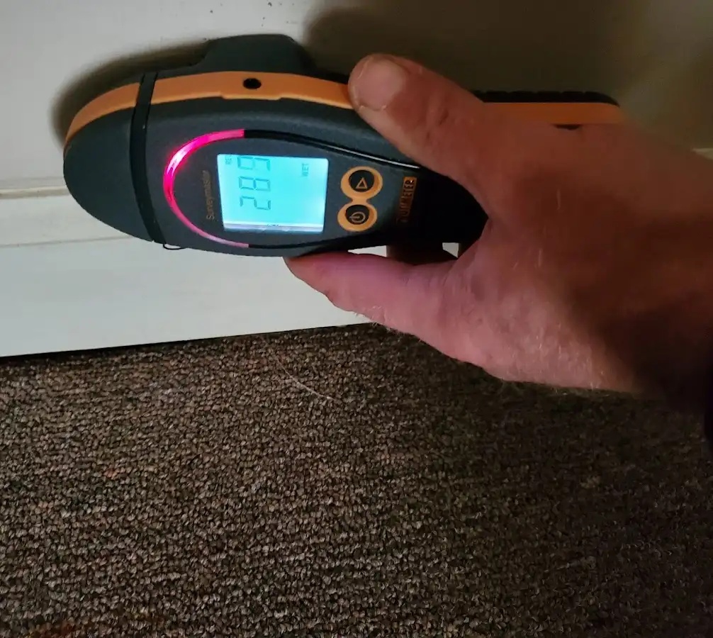 Moisture detection at baseboard during Sewage Cleanup & Sanitation in Silverdale